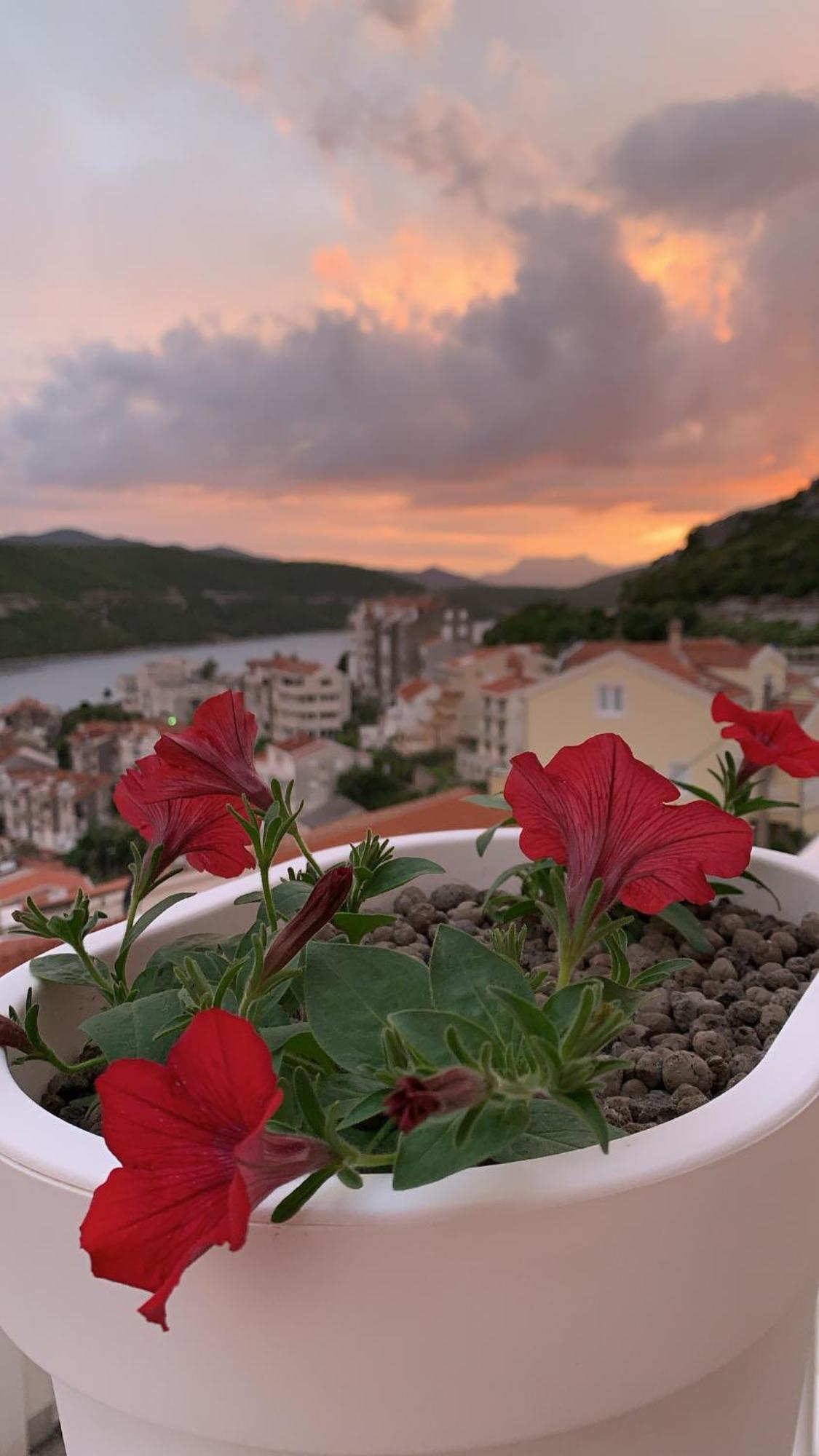 Hotel Ami - M Neum Dış mekan fotoğraf